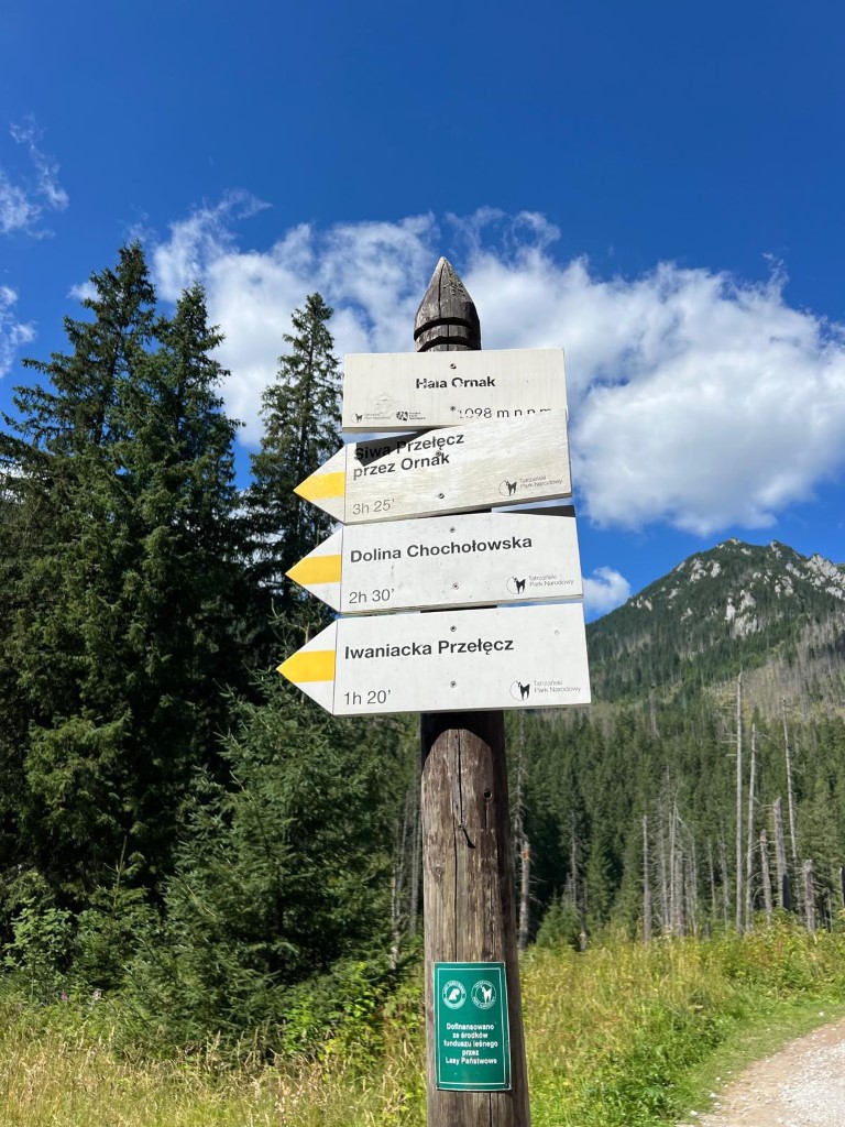 "Wakacje z językiem polskim" - obóz językowo-integracyjny zakończony 16 538110134 693038650419296 7686307406136754180 n